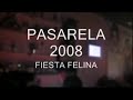 fiesta felina