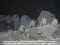 Pkk a Yapilan Kara harekatında 300 pkk lı Terorist öldürüldüGüneş kara harekati pkk dağiliyor 300 terorist killed in iraq Turk silahlı kuvvetleri tsk operasyon leş aktütün karakolpkk hpg roj tv izleyin hainler.K.ırak pkk kampları Boyle Yok Edildi!300 terorist killedin ıraTurkish Army Turkiye Turk silahli aktütün karakolKuvvetleri Tsk mehmetçik operasyo guneşkara harekati borobere  çatişma leş dıyarbakir hava jet üssükurdih terrorism pkk and pjak Stop terrorism barzani ıraq mehmetçik oprasyon kandil pkk hpg kurden kurdish halay folk dance dtp emnine ayna ahmet turk  serefsiz kürtler kuzey irak kara harekati hava harekati zap daglica kandil roj tv fna Turkiye -isvicre Macına Dogru ...Euro2008