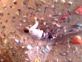 shai fishman rock gym climb