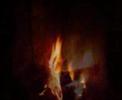 La Floresta  - Guara�  - Peru�be - SP - Brasil
