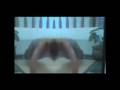 videos de Tatlin - 100 sec 62 push up