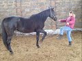 Skalinka