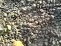 http://eisenberg.oyla19.de
