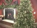 LightRack holiday lighting storage usage