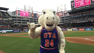 Mavs at the Ballgame