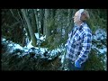 Ford 1939 buried 50 years ago in Hudiksvall Sweden.episode.6