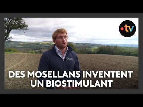 Image de prévisualisation YouTube