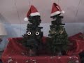Cheech & Chong - Santa Clause and His Old Lady