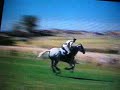 2000 Olympics-Eventing XC-Part 1 2000 Olympics-Eventing XC-Part 1