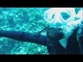 Dive Hurgada Movie by Heliasz