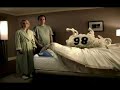 Creative advertising: Serta sheeps