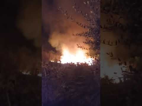 Incendio a Santo Pietro Belvedere 19/04/2022