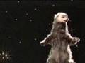 Watch 'Budweiser Lizards and the Ferret TV ad (1999)'