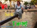 elbow-beach.html