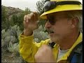 State takes over fight against Tunk Grade Fire near Tonasket