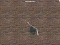 videos de Rope