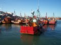 Pesca Salvaje Parte I