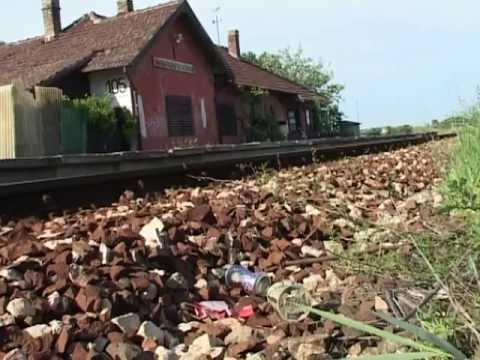 Híradó - Ha nem tudják gondját viselni, akkor bízzák másra!-cover