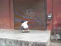 Jtown skaters