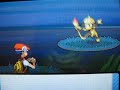 Shiny Smeargle (1 of 5) pokeradar chain 40 pokemon diamond