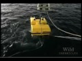 National Geographic Wild Chronicles : Lost City National Geographic Wild Chronicles : Lost City