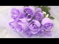 The Rose
