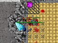 107 lvl RP Gansio vs Warlord Arena 107 lvl RP Gansio vs Warlord Arena