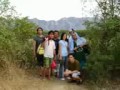 STI UNYON