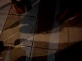 Gordas matando aranha