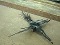 metal bird UPDATE Metal Toucan v.1