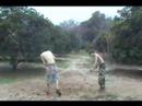 Extreme Orange Fight 2