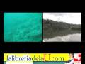 videos de ChocÃ³. ParaÃ­so por naturaleza