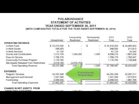 how to assess nonprofit financial performance