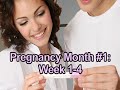 Pregnancy: Weeks 1-4 (Month #1)