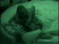 jen-on-the-early-show-part-1.html