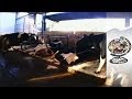 Cows on Waterbed - UK