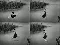 Duck Down Presents:The Album_Jump