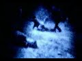 Sadako Yamamura\ Sadako Yamamura\