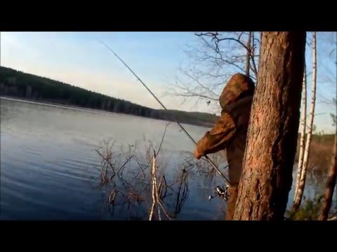плотва весной март видео плотва весной март видео