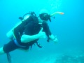 SCUBA: international sign fore 