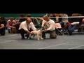 Bull Terrier Inglés video