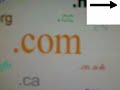 free domain names .com .nl watch description free domain names .com .nl watch description
