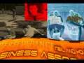 Perseverance Race, Episode 5, Part 1