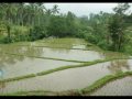 BALI indonesia.Kuta BALI indonesia.Kuta