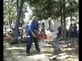 videos de Homelite Super Wiz 66 geardrive chainsaw