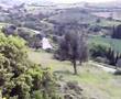 trelo gkazi 2