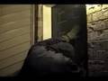 The Player and the Psycho (Sci-fi/Horror indie film)