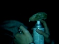 fire coon..... yo