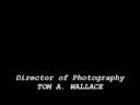 Simulacrum (part 2)