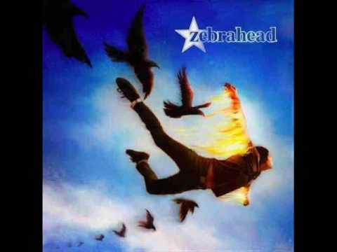 Sorry, But Your Friends Are Hot - Zebrahead